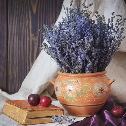 Two-Bunch Dried Lavender Bundle with About 210 Stems and 17-Inch Purple Floral Display Length