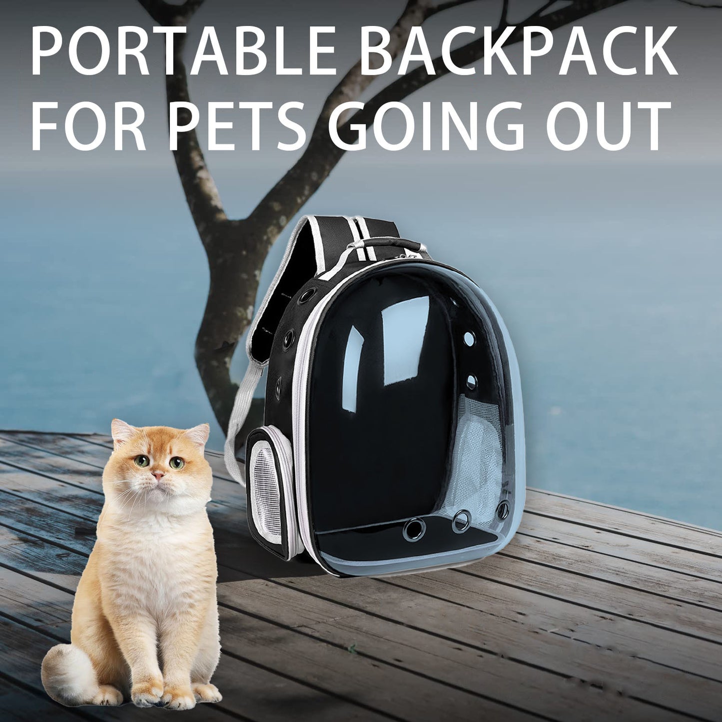Cat Carrier Backpack Transparent Space Capsule – Portable Breathable Pet Travel Bag for Cats & Small Dogs