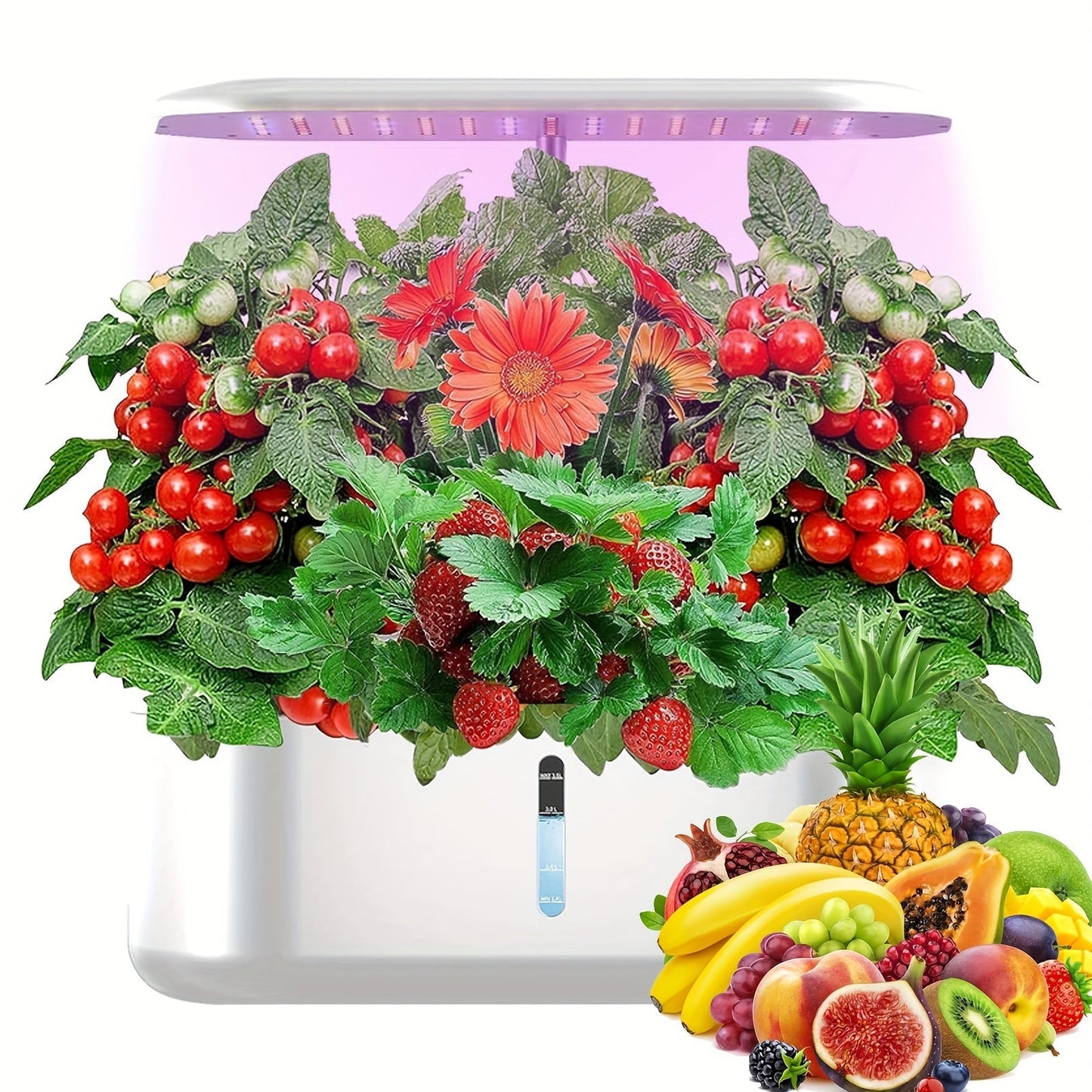 Hydroponic Garden Kit 10 Pods Indoor Herb Garden | 24W LED Grow Light Auto Timer 1-Gal Tank Quiet Pump Nutrients | Vegetables Flowers