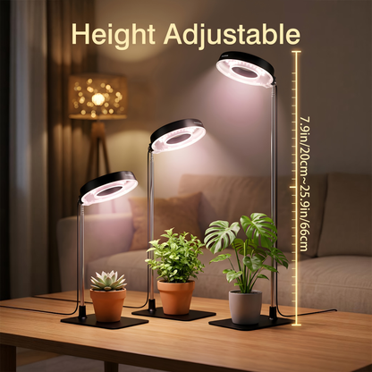 Four-Piece Tabletop Ring LED Plant Lamp Set with USB 3/6/9H Timer, Adjustable Poles and Bases