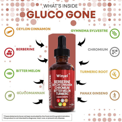 Blood Sugar Support Liquid Drops with Ceylon Cinnamon Berberine Bitter Melon Gymnema Chromium Turmeric Panax Ginseng