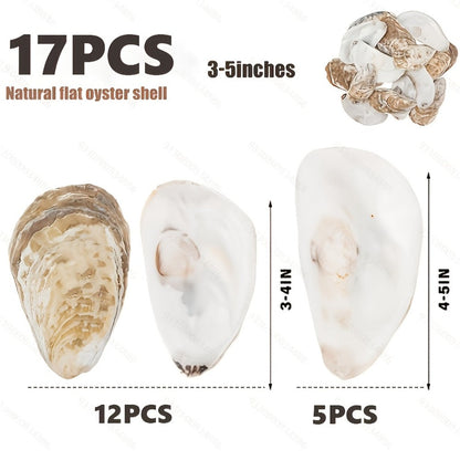 Natural Flat Oyster Shells for Crafts, 17pcs 3-5in Disk Shaped Sea Shells, Vase Filler, DIY Arts & Crafts
