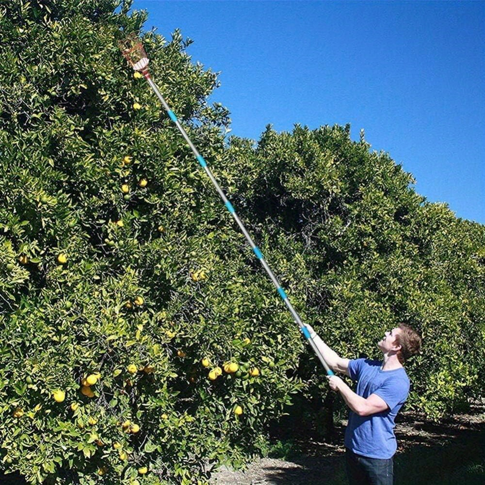 8FT Fruit Picking Pole with Basket, Height-Adjustable Tree Picker for Apples, Mangoes, Lemons, Oranges and Orchard Harvesting