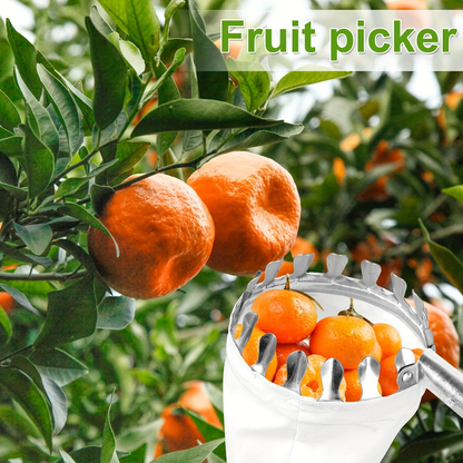 Stainless Steel Fruit Picker with Adjustable 63 to 157 Inch Extension Pole and Non-Slip Handle for Orchard Harvesting