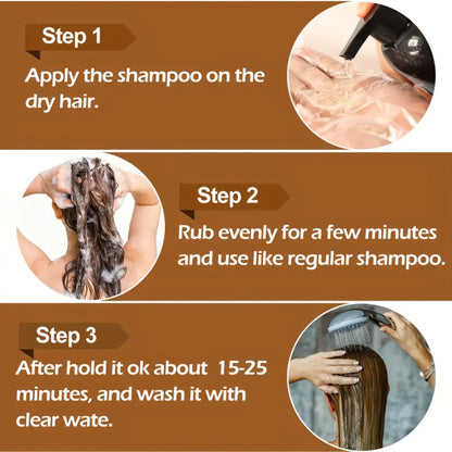 Hair Dye Shampoo, RILSIC 500ml Black 3-in-1 Single Bottle with Pump Dispenser for At-Home Color Application