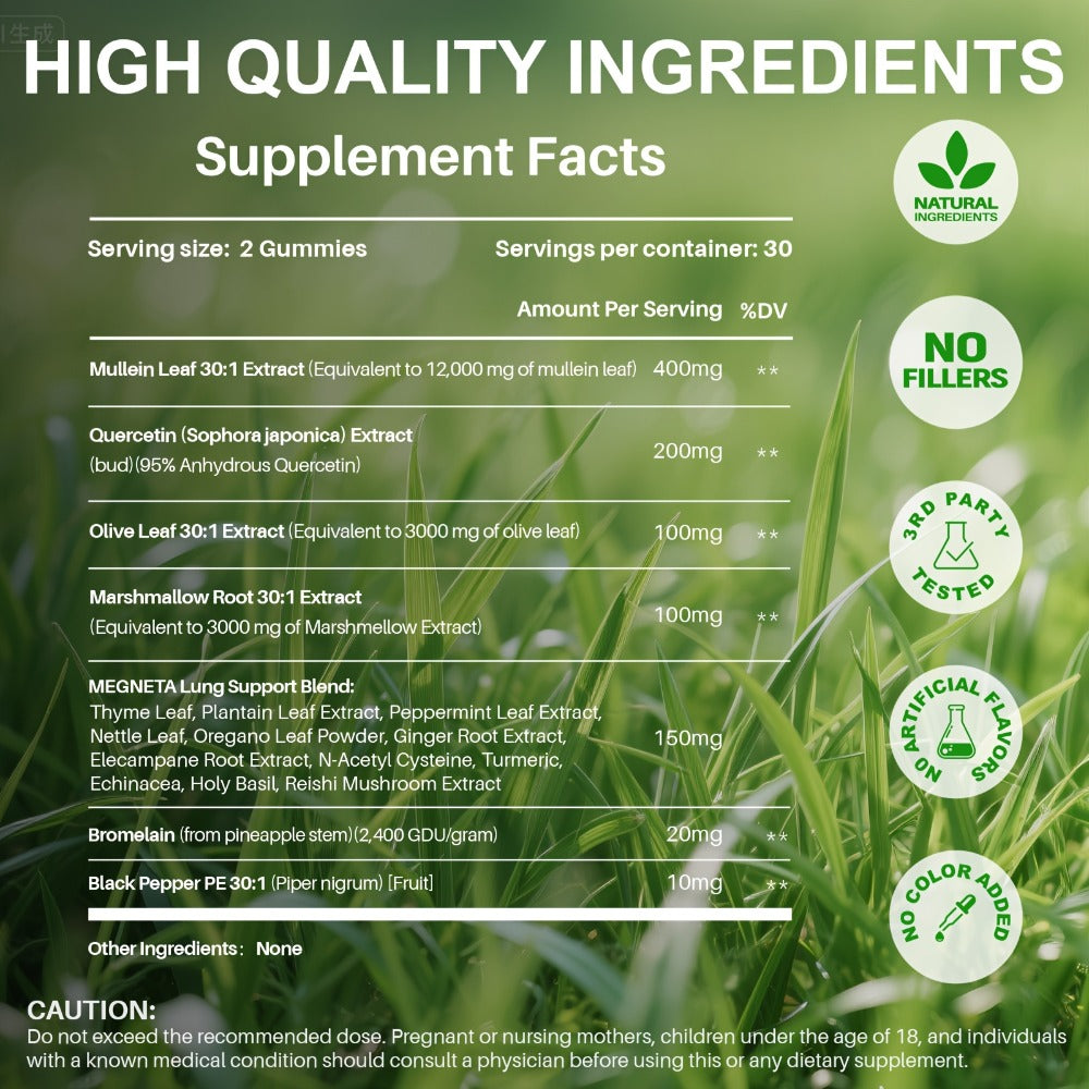 Mullein Leaf Lung Health Supplement with Quercetin, Bromelain, Vitamin C & D3, Zinc & Selenium
