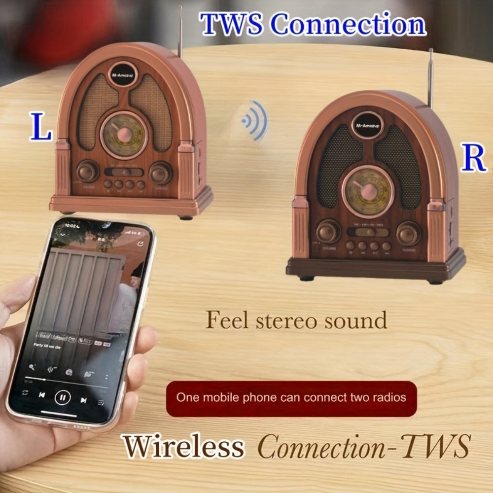Portable AM FM SW Radio Bluetooth Speaker, Multi-Function Wireless Speaker with TF Card Player, Stereo Sound