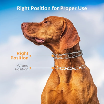 Dog Training Collar Adjustable Prong Design in Silver-Tone Steel with Rubber Tips and S or M Link Sizes