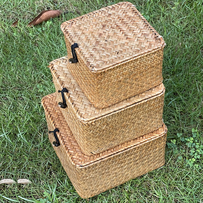 Rattan Storage Baskets Set of 3 with Lattice Lids and Label Holders in Graduated Sizes for Home Organization
