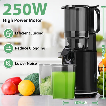 Cold Press Slow Juicer Machine with 5.3-Inch Large Feed Chute - High Juice Yield, Safety Lock, One-Click Cleaning
