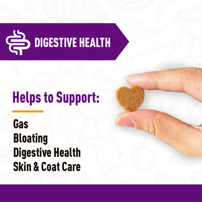 Dog Probiotic & Digestive Enzyme Chews with Prebiotics – Gut Health, Skin Sensitivity Support & Digestive Balance Soft Chew Supplement