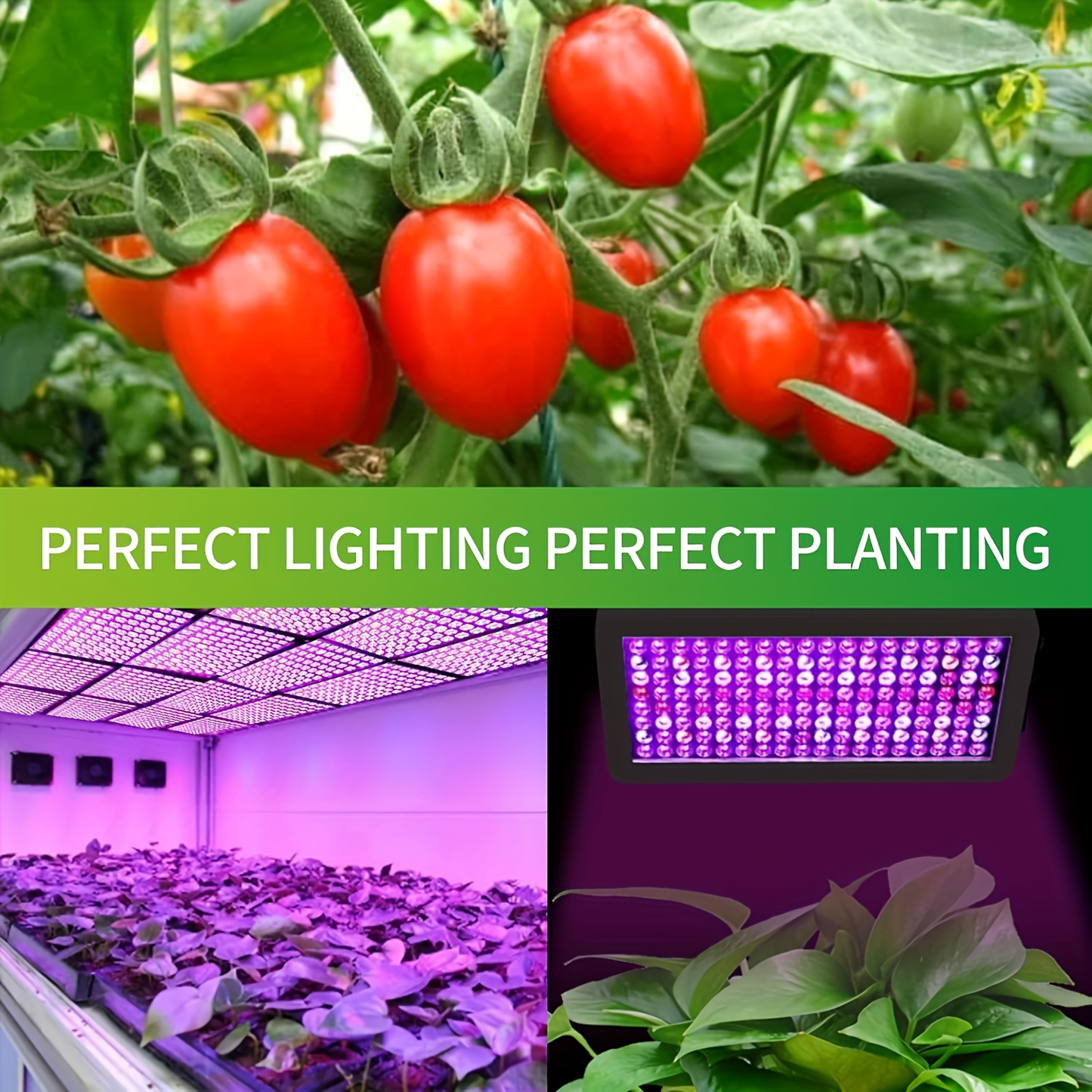 LED Grow Light 1000W Full Spectrum, Dual-Switch Plant Light for Veg & Bloom, Hydroponic Hanging Grow Lamp for Indoor Greenhouse