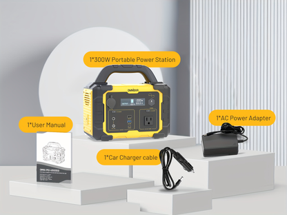 Portable Power Station 294Wh 300W with 600W Peak, Eight Outputs, AC, DC, USB-C and LED Light