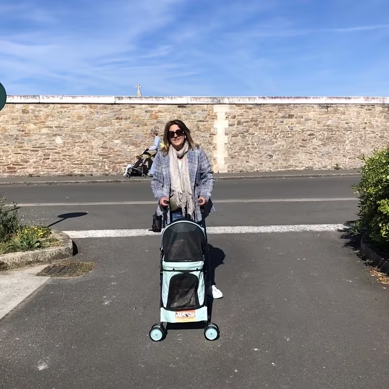 Pet Stroller for Small Dogs & Cats | Foldable Travel Dog Stroller, Portable Puppy Cat Pram with 4 Wheels, Canopy & Storage Basket