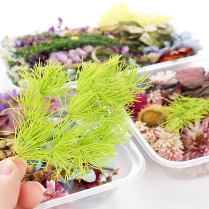 Four-Box Mixed Dried Flower Set with Assorted Colors and Small Botanical Pieces for Craft Decoration