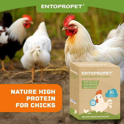 Dried Black Soldier Fly Larvae Chicken Feed – High Calcium High Protein Poultry Treat, Non-GMO Supplement for Chickens Ducks Birds Turtles