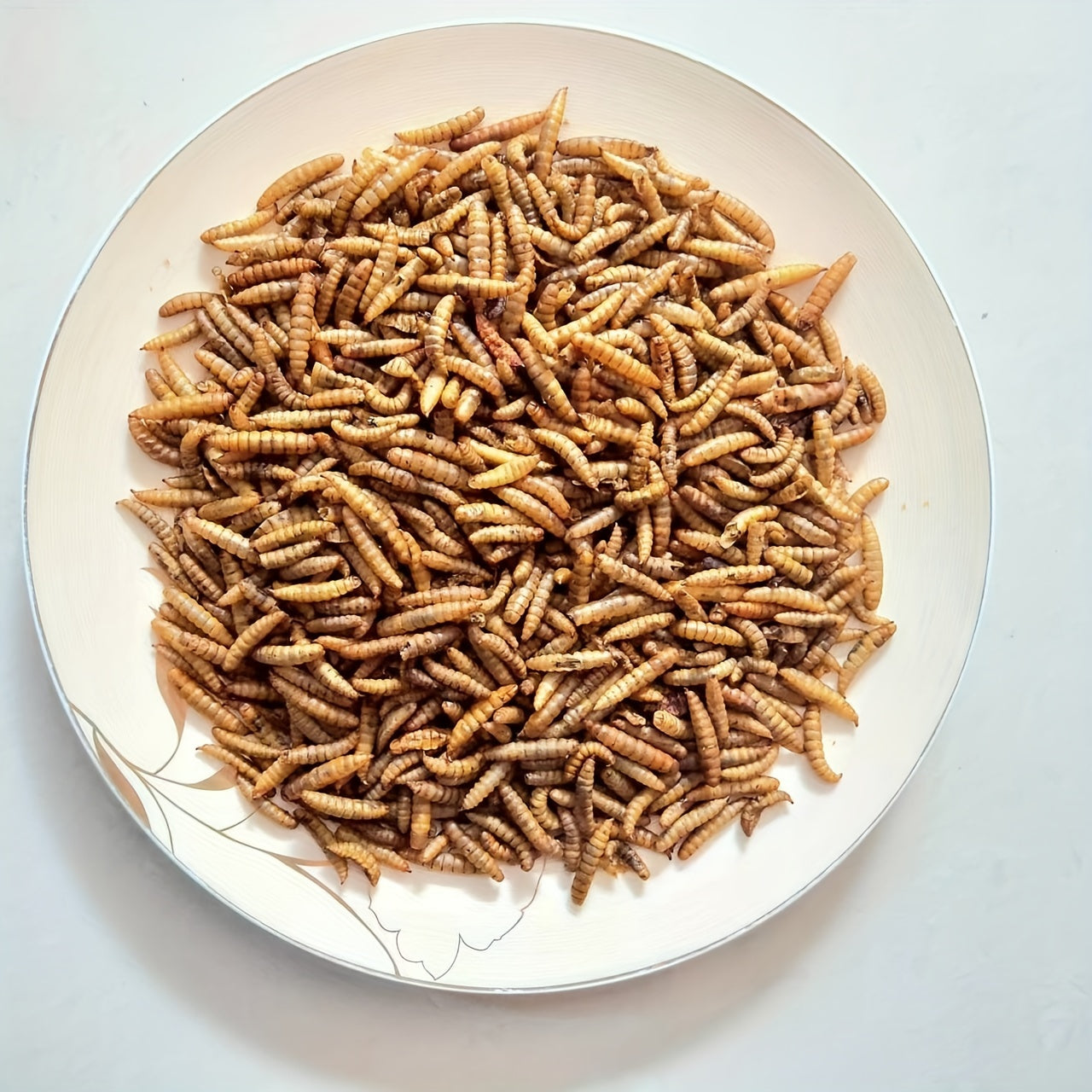 Dried Black Soldier Fly Larvae Chicken Feed – High Calcium High Protein Poultry Treat, Non-GMO Supplement for Chickens Ducks Birds Turtles
