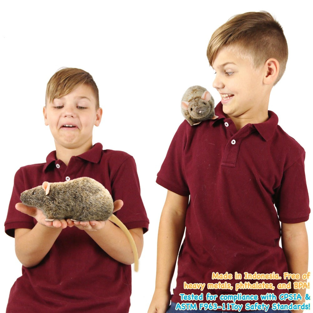 Plush Toy Reuben Realistic Brown Rat 7-Inch Stuffed Animal with Story Card for Character Display, Room Decor and Gift Presentation