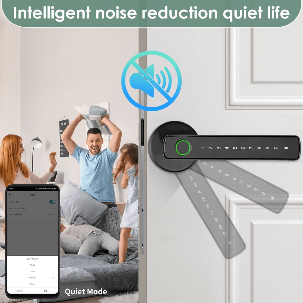 Aluminum Alloy Smart Door Handle Lock 4-in-1 with Fingerprint, Password, App & Key, Left & Right Hand Compatible