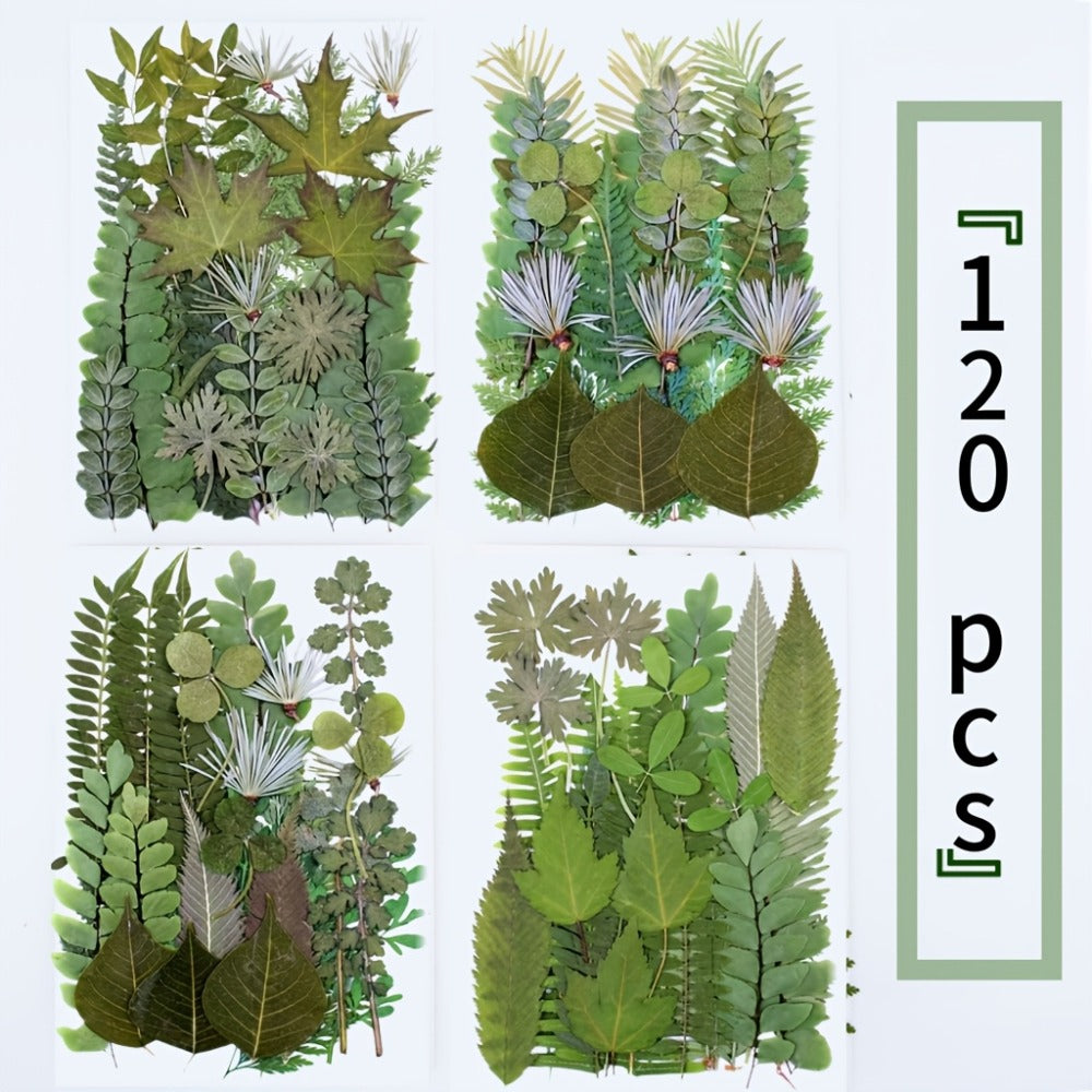 Dried Flower Material Pack 120pcs for Entryways, Bedrooms and Living Spaces, with the Listed Configuration
