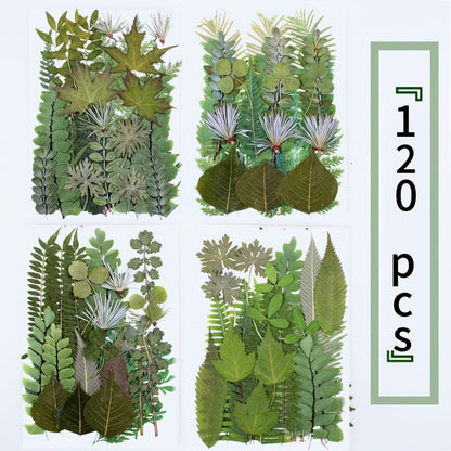 Dried Flower Material Pack 120pcs for Entryways, Bedrooms and Living Spaces, with the Listed Configuration