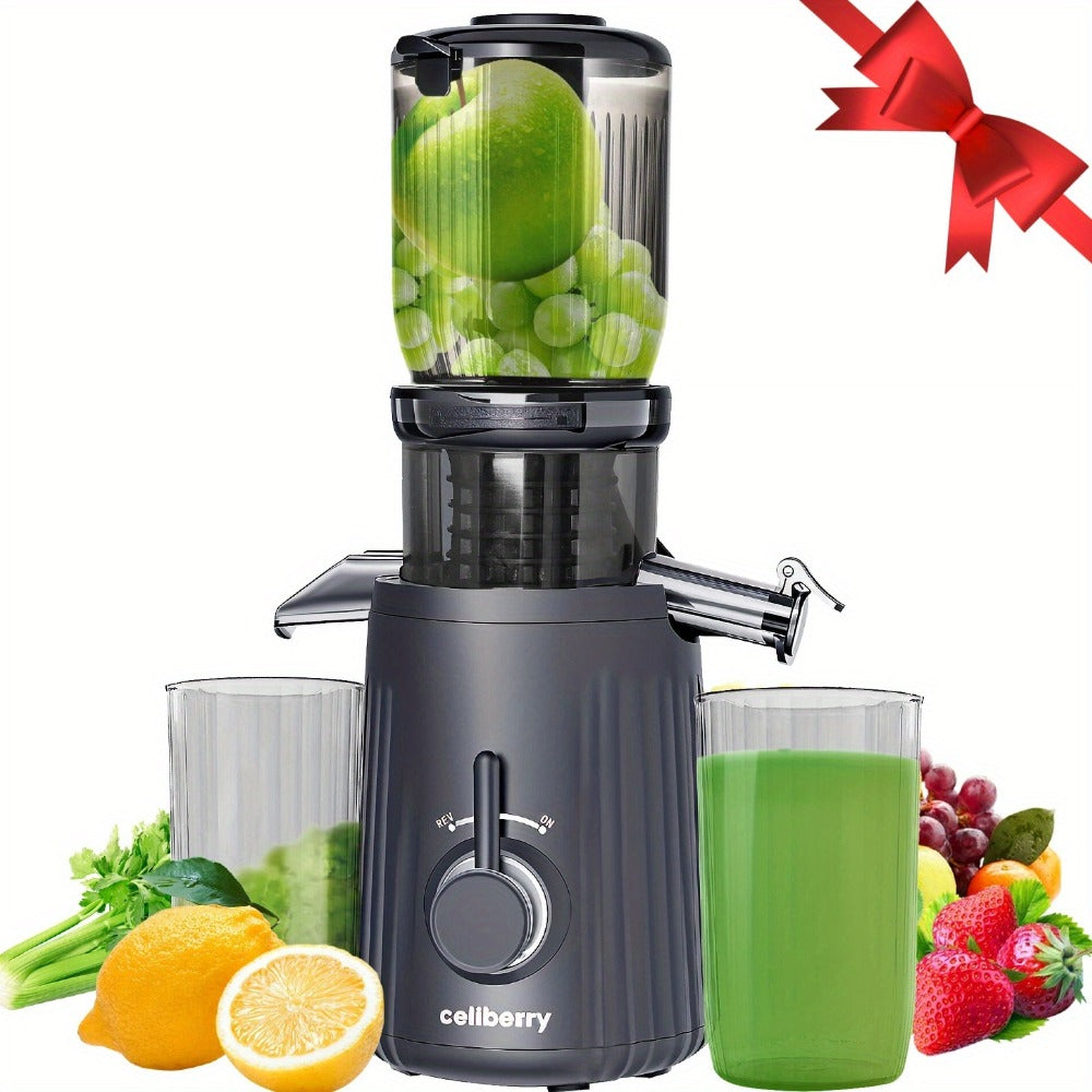 Masticating Juicer Cold Press - 4.25" Wide Feed Chute Auto-Feed Slow Juicer for Whole Fruits & Vegetables