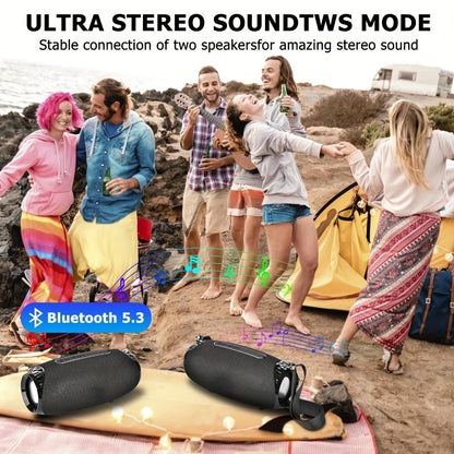 Bluetooth Speaker 10W Portable TWS Model with Bluetooth 5.3, Shoulder Strap and 9-Inch Black Body