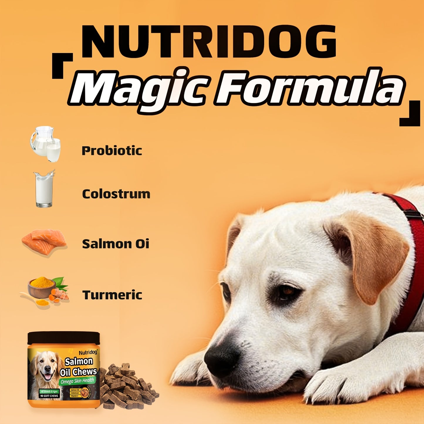 Dog Probiotic Chews with Salmon Oil – 90 Soft Chews for Coat & Gut Health | Chicken Flavor Nutritional Supplement for Dogs of All Ages