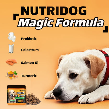 Dog Probiotic Chews with Salmon Oil – 90 Soft Chews for Coat & Gut Health | Chicken Flavor Nutritional Supplement for Dogs of All Ages