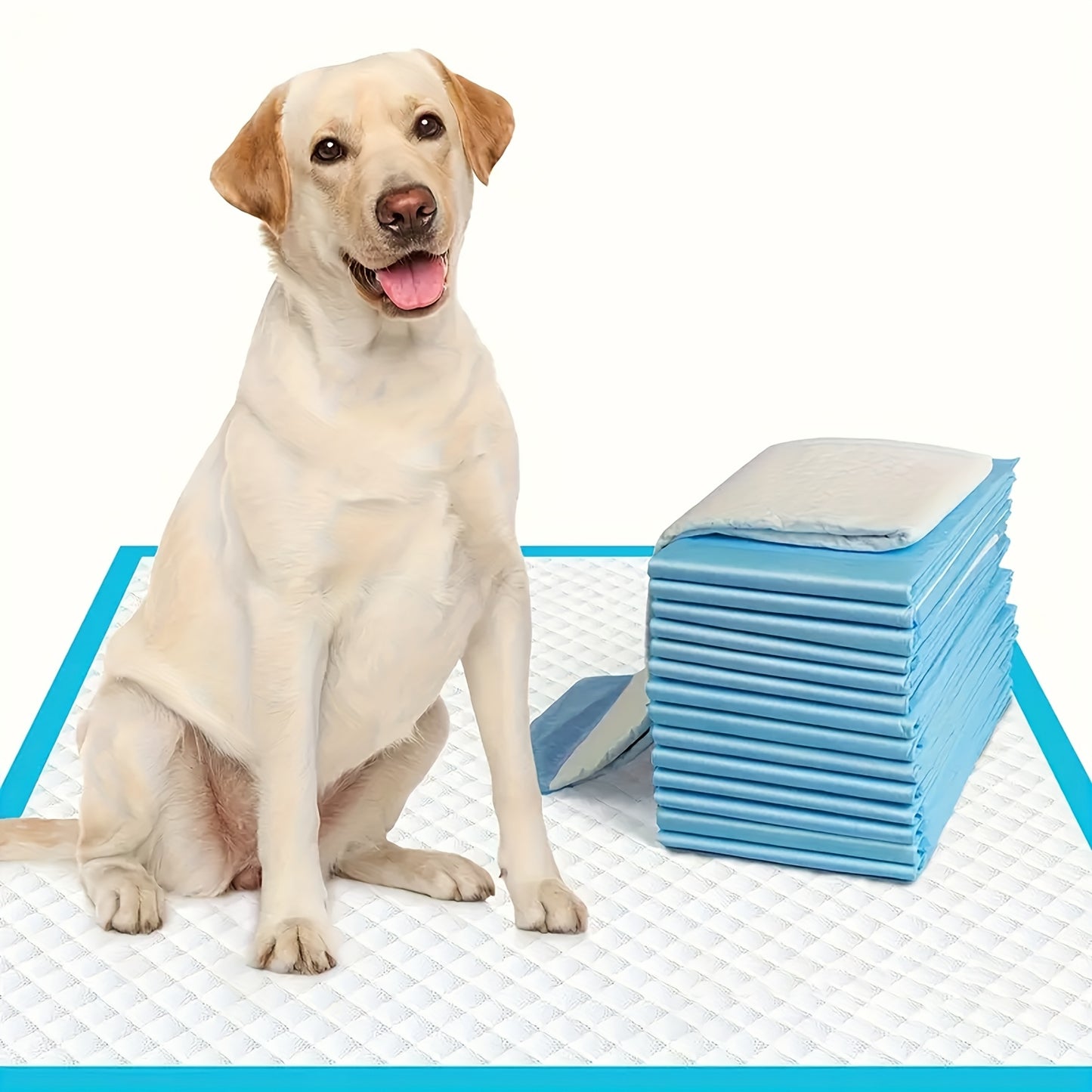 Dog Urine Pads Super Absorbent 23.6"x23.6" – Ultra-Thick Puppy Training Pads & Pet Toilet Pads, Rapid Liquid Lock