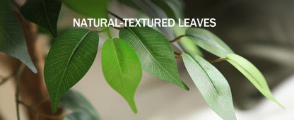 Artificial Ficus Tree with Braided Trunk, Full Green Canopy, Black Pot and 4, 5 or 6 ft Height Options