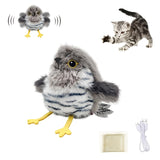 Cuckoo