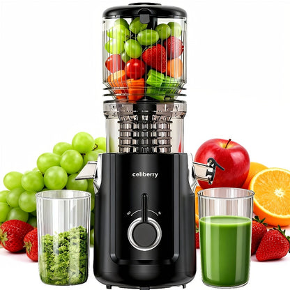 Masticating Juicer Cold Press - 4.25" Wide Feed Chute Auto-Feed Slow Juicer for Whole Fruits & Vegetables