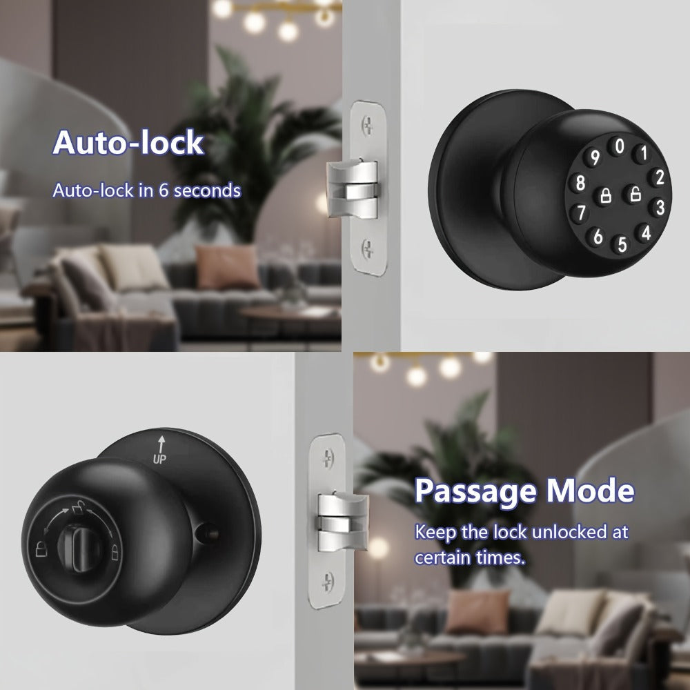 Smart Door Lock Tuya Smart Life Keypad Knob with App Mechanical Key and Passage Mode in Black