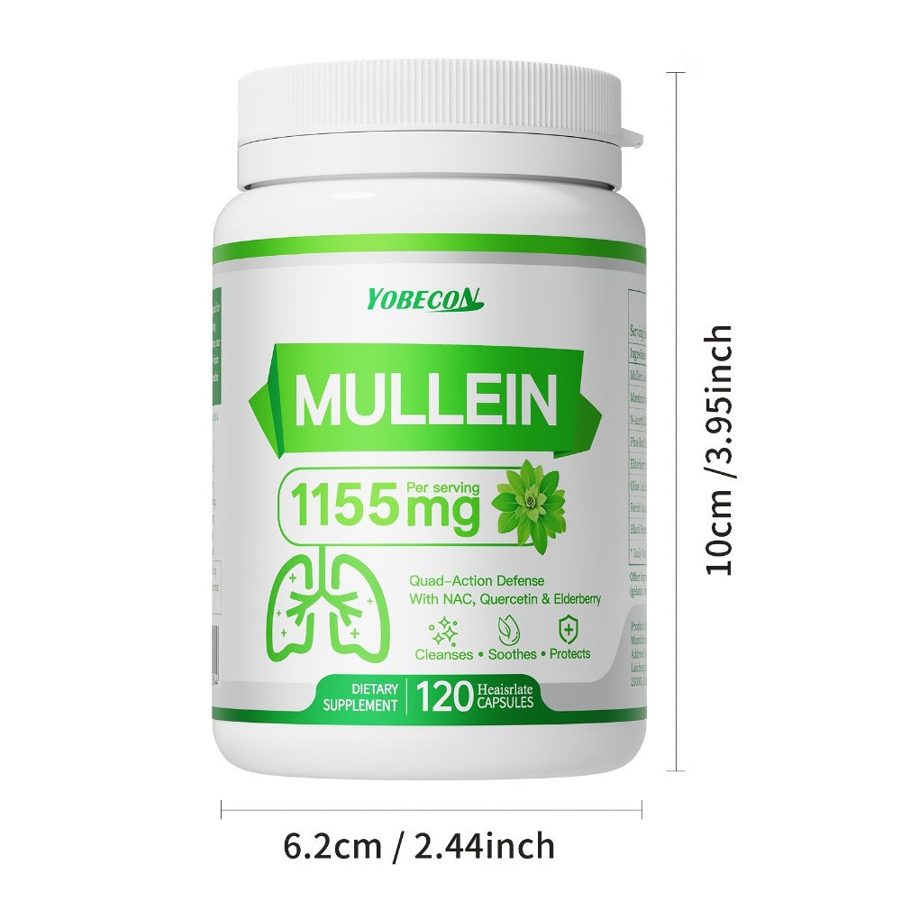 Herbal Supplement with YOBECON Label, Mullein NAC Quercetin Elderberry 1155mg per Serving, 120 Capsules