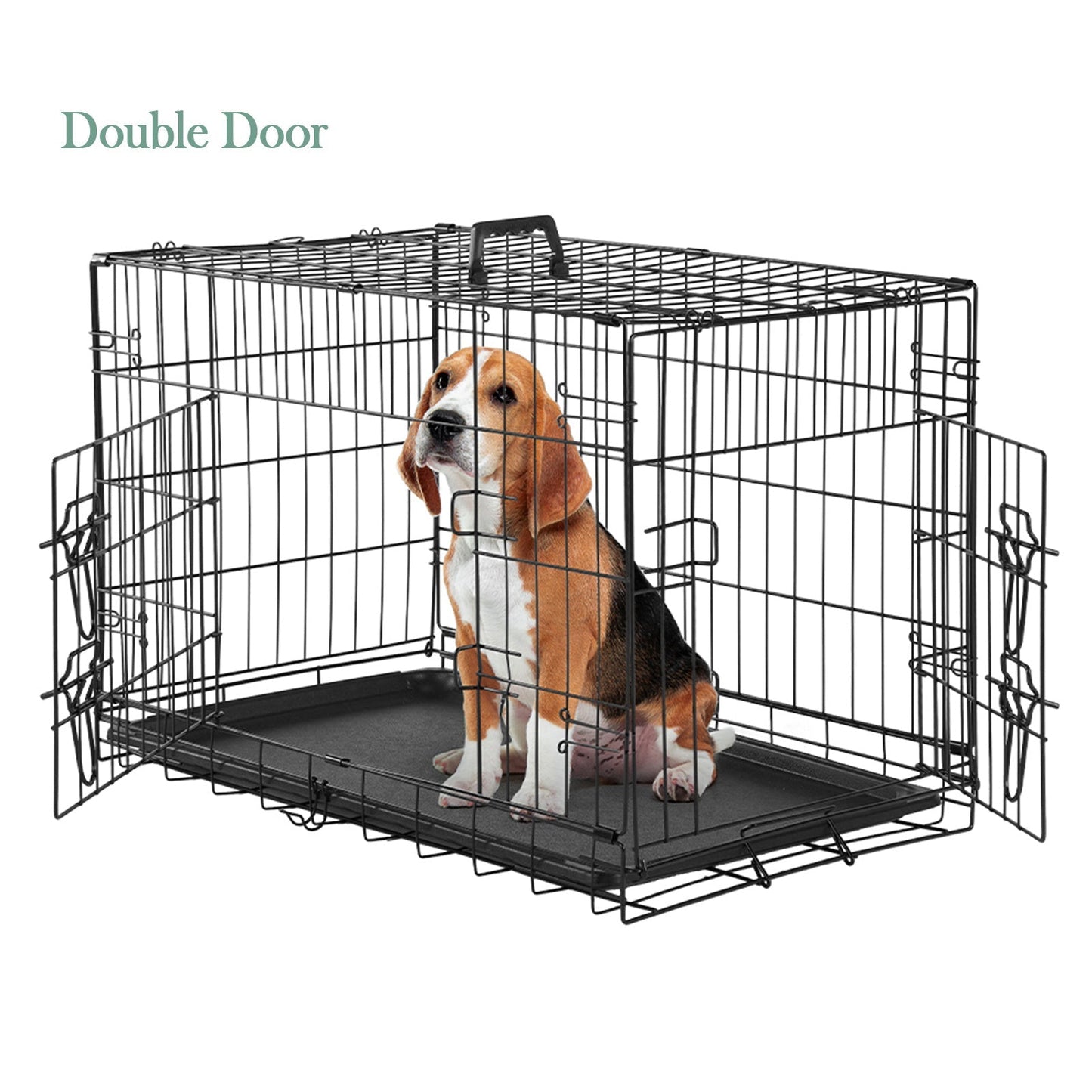Folding Wire Dog Crate in 24, 30 or 36 Inches with Divider, Removable Tray and Door Options