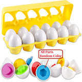 12 Pcs Eggs Toy
