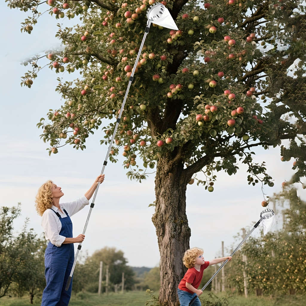 Stainless Steel Fruit Picker with Adjustable 63 to 157 Inch Extension Pole and Non-Slip Handle for Orchard Harvesting