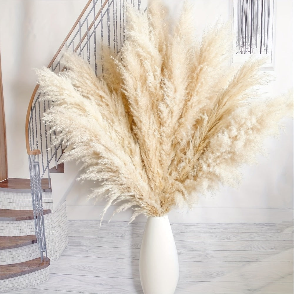 Pampas Grass Decor 10 Stalks 45 Inch Tall Natural Dried Fluffy Plumes for Floor Vase, Living Room