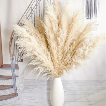 Pampas Grass Decor 10 Stalks 45 Inch Tall Natural Dried Fluffy Plumes for Floor Vase, Living Room