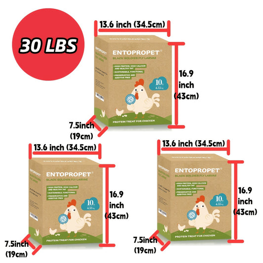 Dried Black Soldier Fly Larvae 30LB – High Protein Chicken Feed Supplement, Natural Poultry Treat for Chickens, Ducks