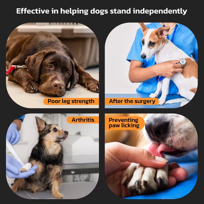 Dog Paw Pads Anti-Slip Sticker Protector 12 Sets 48pcs – Traction Grip Paw Stickers for Senior Dogs on Hardwood Floors