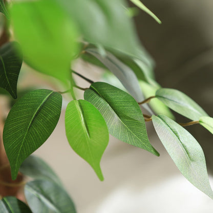 Artificial Ficus Tree with Braided Trunk, Full Green Canopy, Black Pot and 4, 5 or 6 ft Height Options