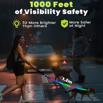LED Dog Leash 4FT Light Up with 13 Lighting Modes & Tangle-Free Hook, Rechargeable Glow in the Dark Night Walking Leash
