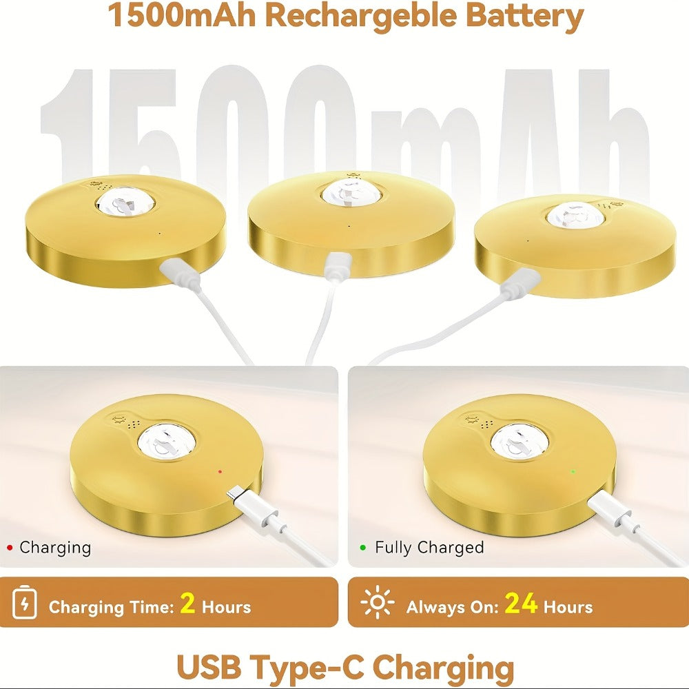 Picture Lights for Wall Rechargeable, Magnetic LED Art Display Light with Remote 3 Color Temperatures Dimmable Timer Golden Finish