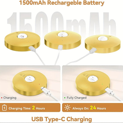 Picture Lights for Wall Rechargeable, Magnetic LED Art Display Light with Remote 3 Color Temperatures Dimmable Timer Golden Finish