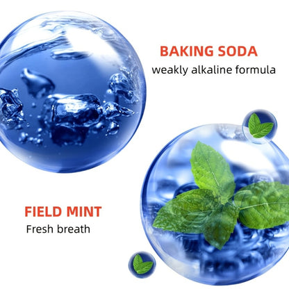 300g Field Mint Toothpaste in Pump Dispenser with Baking Soda and Probiotics Listed on Label