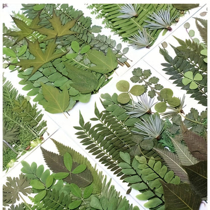 Dried Flower Material Pack 120pcs for Entryways, Bedrooms and Living Spaces, with the Listed Configuration