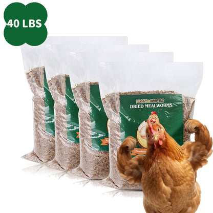 Dried Mealworms High Protein Animal Feed – Natural Insect Treats for Chickens Wild Birds Hens Ducks Turtles Fish Lizards Hamsters
