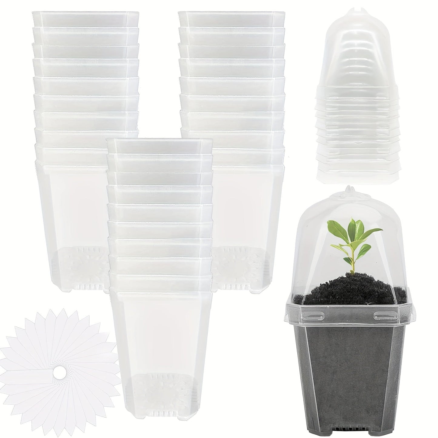 Clear Nursery Pots 3 Inch with Humidity Dome Lids 30pcs | Stackable Seed Starter Pots | Built-In Labels | Succulents Seedlings Cuttings